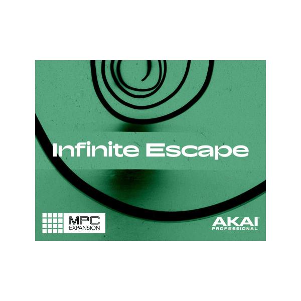 Native Instruments (NI) ネイティブインストゥルメンツ Infinite Es...