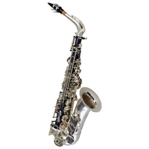 Cannonball キャノンボール A5-BS アルトサックス BIG BELL STONE