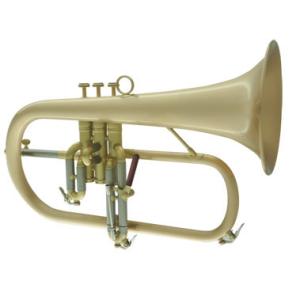 AXIS フリューゲルホルン ♪日本初上陸Axis！【新品】新フリューゲルホルン flugelhorn