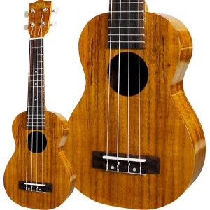 HANALEI（ハナレイ） HUK-100CII コンサートウクレレ マホガニートップ