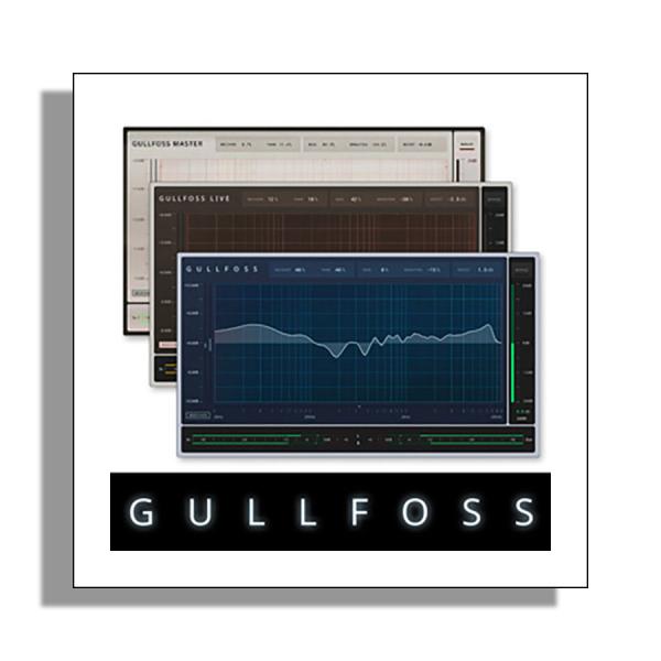 特価 2026/05/11迄 SOUNDTHEORY サウンドセオリー GULLFOSS プラグイン...