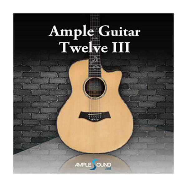 AMPLE SOUND アンプル・サウンド AMPLE GUITAR TWELVE III A684...