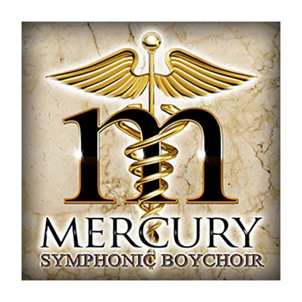 特価 2026/05/11迄 SOUNDIRON サウンドアイアン MERCURY SYMPHONI...