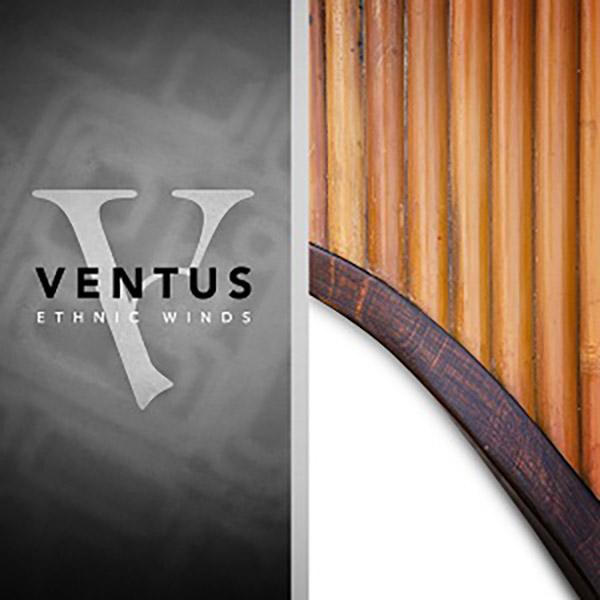 IMPACT SOUNDWORKS インパクトサウンドワークス VENTUS ETHNIC WIND...