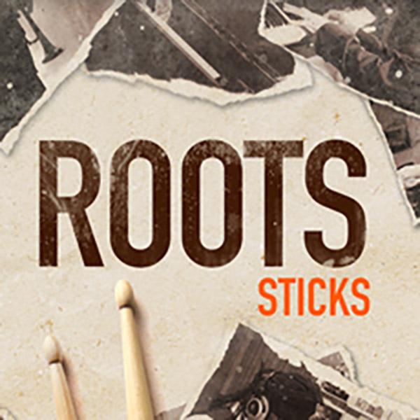 TOONTRACK トゥーントラック SDX - ROOTS STICKS SDX拡張音源  メール...