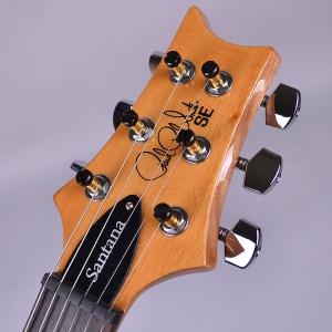PRS 106297 SEロックペグ ポールリ...の詳細画像5