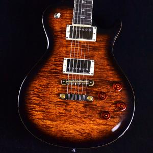 Epiphone（エピフォン） Epiphone Wildkat STUDIO MG ワイルドキャット