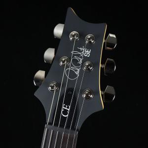 PRS SE Swamp Ash CE24 S...の詳細画像2