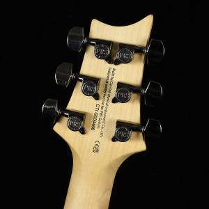 PRS SE Swamp Ash CE24 S...の詳細画像3