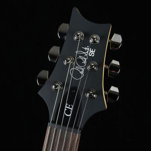 PRS SE Swamp Ash CE24 S...の詳細画像2