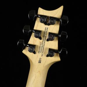 PRS SE Swamp Ash CE24 S...の詳細画像3
