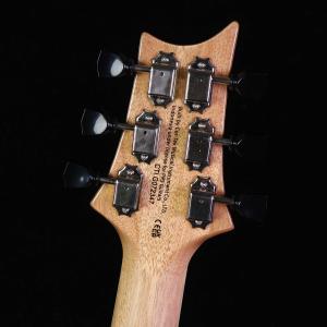 PRS SE Zach Myers Myers...の詳細画像4