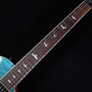PRS SE Zach Myers Myers...の詳細画像5