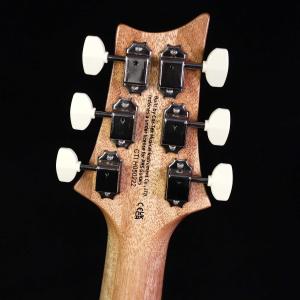 PRS SE Pauls Guitar Sla...の詳細画像3