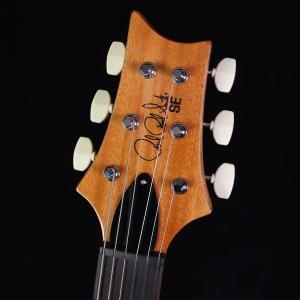 PRS SE Pauls Guitar Sla...の詳細画像2