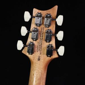 PRS SE Pauls Guitar Sla...の詳細画像3