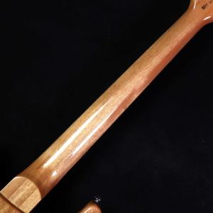 PRS SE Pauls Guitar Sla...の詳細画像5