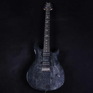 PRS SE CE 24 Standard B...の詳細画像1
