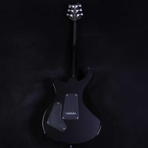 PRS SE Custom24 Quilt S...の詳細画像2