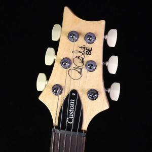 PRS SE Custom24-08 Turq...の詳細画像2