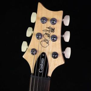 PRS SE Custom24 Blue Ma...の詳細画像2