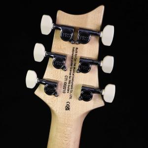 PRS SE Custom24 Blue Ma...の詳細画像3