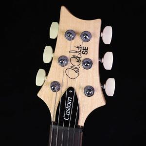 PRS SE Custom24 Blue Ma...の詳細画像2