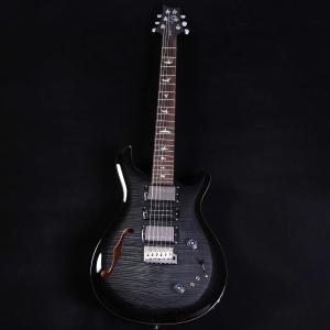 PRS SE Special Semi-Hol...の詳細画像1