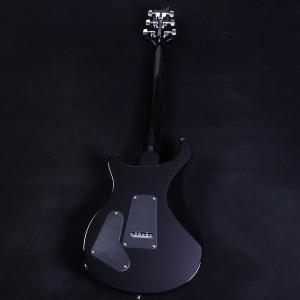 PRS SE Special Semi-Hol...の詳細画像2