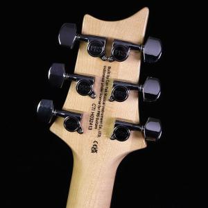 PRS SE Custom24 Quilt B...の詳細画像3