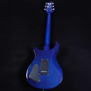 PRS SE Special Semi-Hol...の詳細画像2