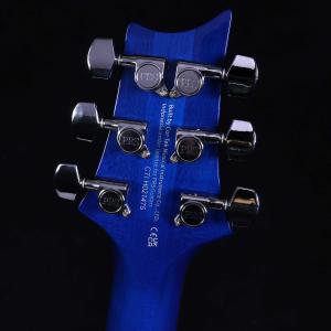 PRS SE Special Semi-Hol...の詳細画像4