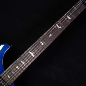 PRS SE Special Semi-Hol...の詳細画像5