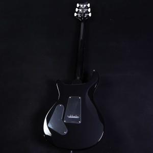 PRS SE Custom24 Quilt A...の詳細画像2