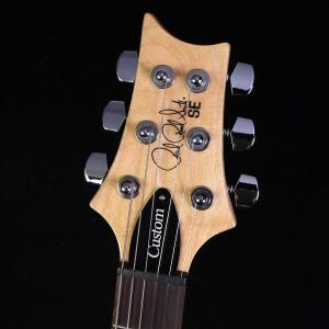 PRS SE Custom24 Blue Fa...の詳細画像2