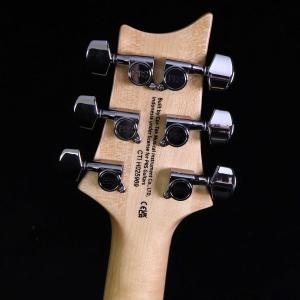 PRS SE Custom24 Blue Fa...の詳細画像3