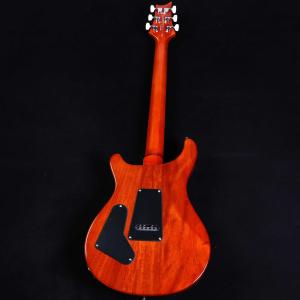 PRS SE Custom24 Vintage...の詳細画像2