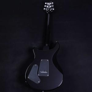 PRS SE Special Semi-Hol...の詳細画像2