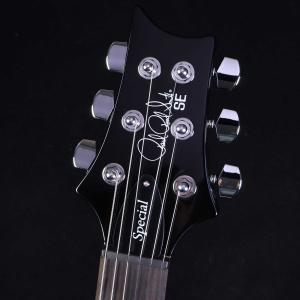 PRS SE Special Semi-Hol...の詳細画像3