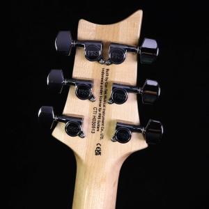 PRS SE Custom24 Quilt B...の詳細画像3