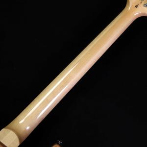 PRS SE Custom24 Quilt B...の詳細画像5