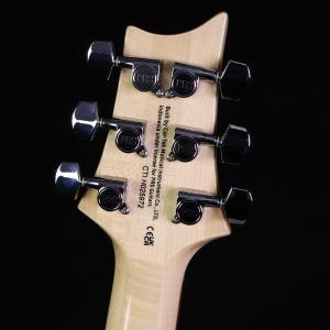 PRS SE Custom24 Blue Fa...の詳細画像3