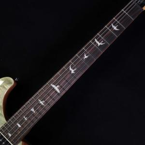 PRS SE Custom24 Blue Fa...の詳細画像4
