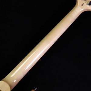 PRS SE Custom24 Blue Fa...の詳細画像5
