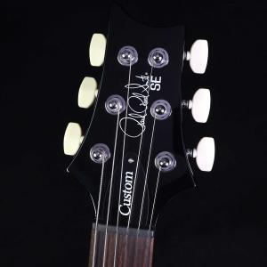 PRS SE Custom24 Emerald...の詳細画像3