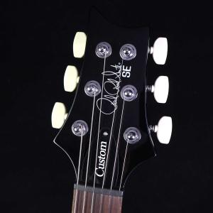 PRS SE Custom24 Emerald...の詳細画像3