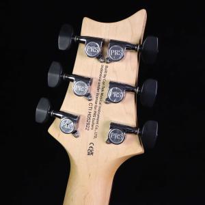 PRS SE CE24 Standard Sa...の詳細画像3