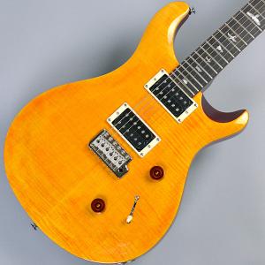 Vintage Custom24 PRS