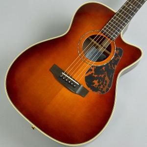 【オール単板】K.yairi VINCENT  VN−30 CUSTOM オール単板】K.yairi VINCENT VN−30 CUSTOM K.Yairi VINCENT VN