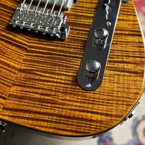 Kz Guitar Works ケイズギターワ...の詳細画像3